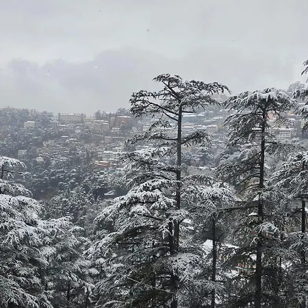 The Central Vista - Simla Royale Near Mall Road Free Pickup From Railway Station Simla Exterior photo